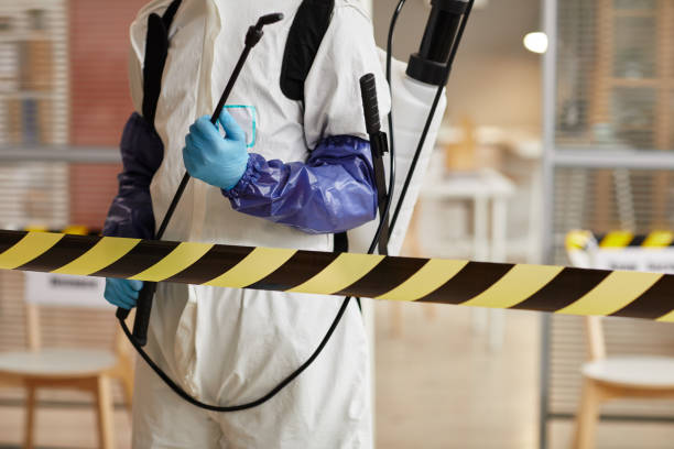 Professional Sewage Cleanup technician working in Midland, TX